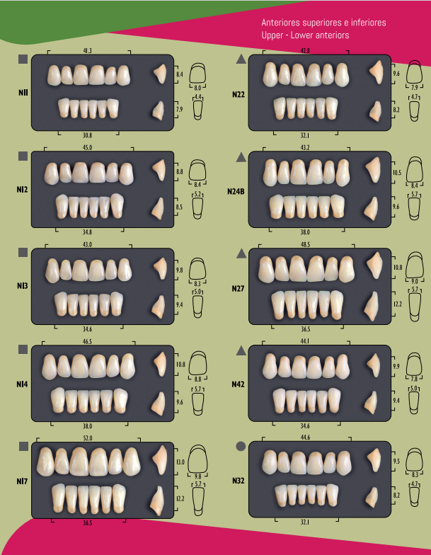 Denti Acrilici Duratone® - Anteriori Superiori