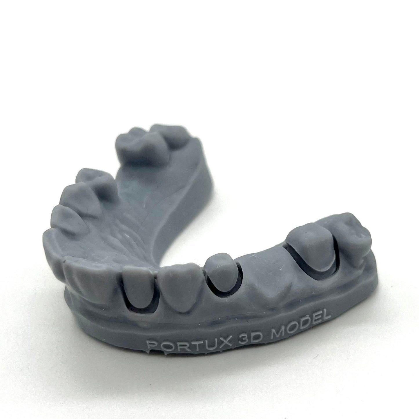 Resine Portux 1kg - Model 3D Basic