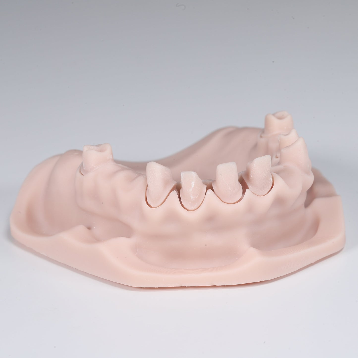 Resine Portux 1kg - Model 3D 2.0