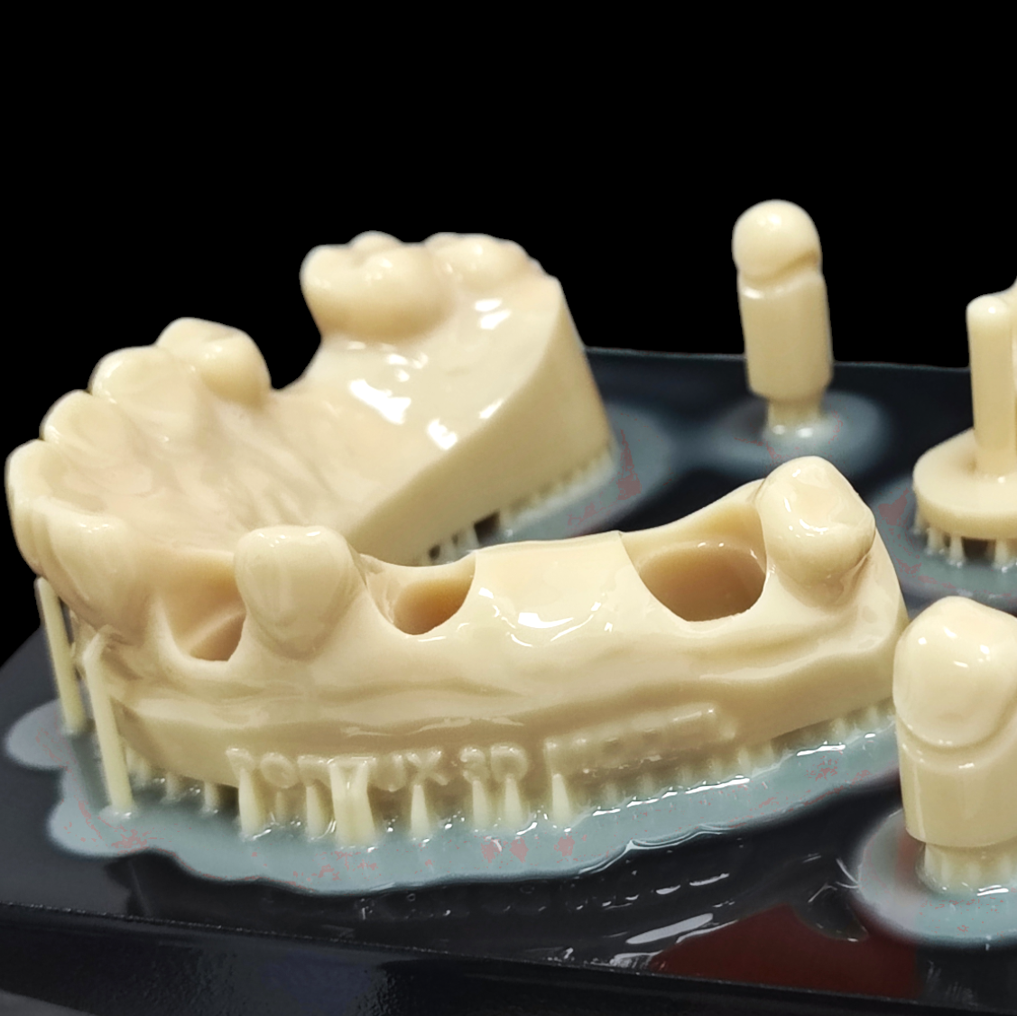 Resine Portux 1kg - Model 3D