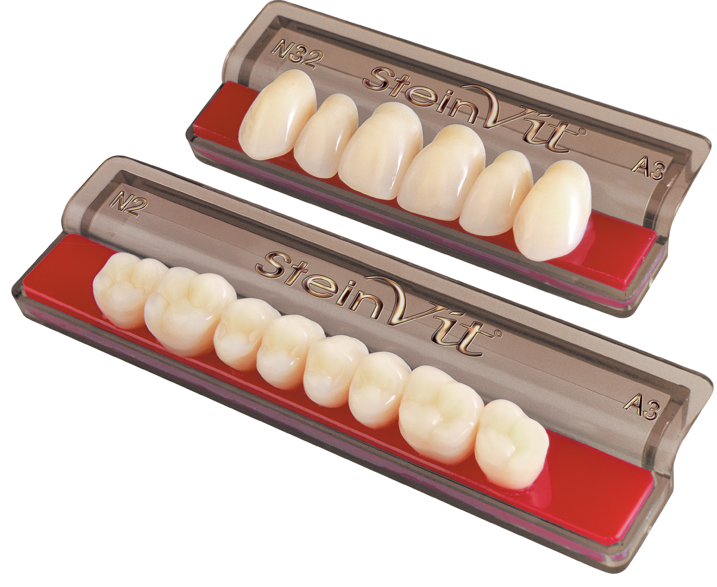 Denti Acrilici SteinVit® Anteriori Superiori - Set da 10 file