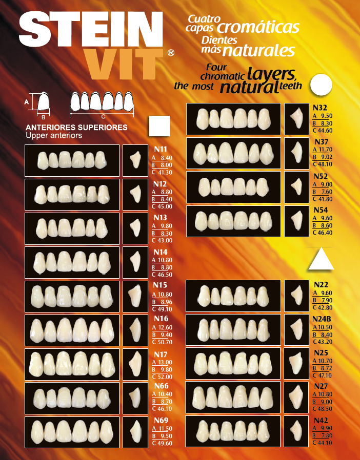 Denti Acrilici SteinVit® Anteriori Superiori - Set da 10 file