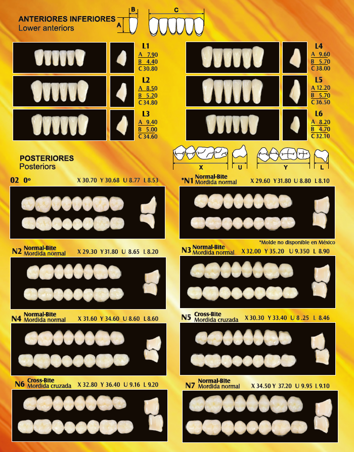 Denti Acrilici SteinVit® Anteriori Superiori - Set da 10 file